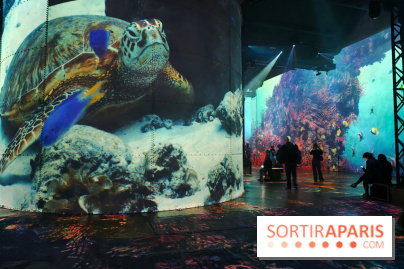 Plongez à la découverte de Planète Océan, l’exposition immersive de l’Atelier des Lumières