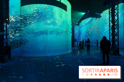 Plongez à la découverte de Planète Océan, l’exposition immersive de l’Atelier des Lumières
