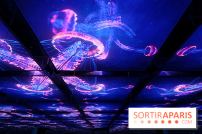 Plongez à la découverte de Planète Océan, l’exposition immersive de l’Atelier des Lumières