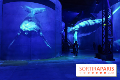 Plongez à la découverte de Planète Océan, l’exposition immersive de l’Atelier des Lumières