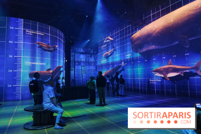 Plongez à la découverte de Planète Océan, l’exposition immersive de l’Atelier des Lumières