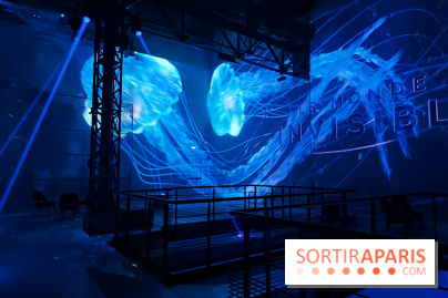 Plongez à la découverte de Planète Océan, l’exposition immersive de l’Atelier des Lumières