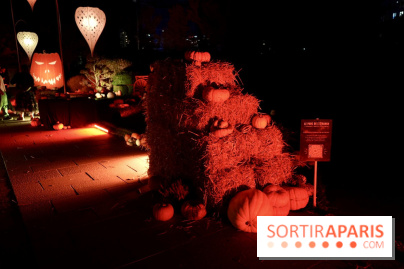 Parc de l'Étrange 2026 : Pyramide de foin et citrouilles dans un décor d’Halloween nocturne