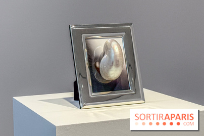 Hélène Fauquet : Vivresse, l’exposition entre bulles et coquillages à Lafayette Anticipations.