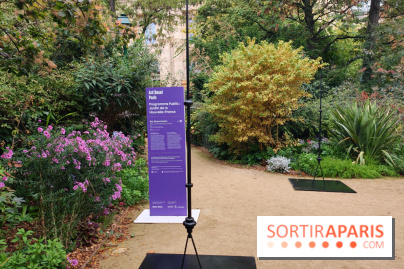 Art Basel 2026 : une installation éphémère à voir gratuitement au jardin de la Nouvelle-France