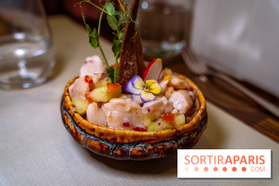 Milpan, l'authentique restaurant mexicain de Fontainebleau - photos