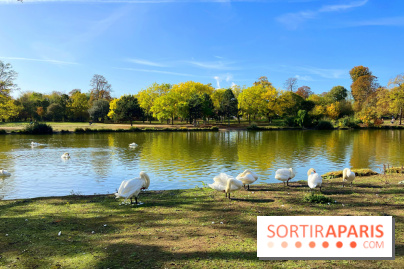 Les îles du Lac Daumesnil, une escapade dans le 12e arrondissement de Paris