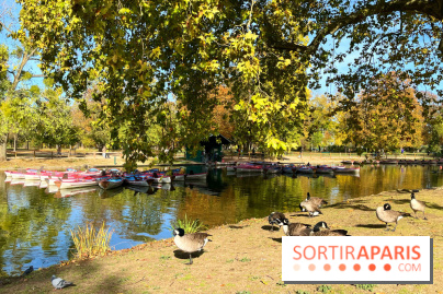 Les îles du Lac Daumesnil, une escapade dans le 12e arrondissement de Paris