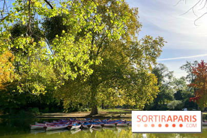 Les îles du Lac Daumesnil, une escapade dans le 12e arrondissement de Paris