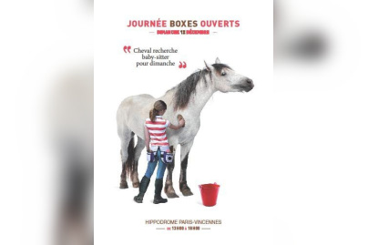 Journée boxes ouverts, hippodrome vincennes