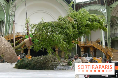 L'art du Jardin au Grand Palais