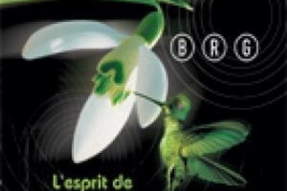 BRG et FRENCH PARADOXE