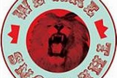 We Are The Lions! #10