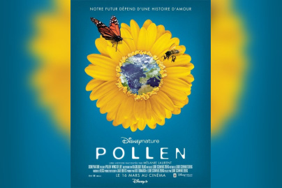Pollen, Cinéma, Disney