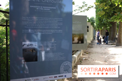 Exposition Planète Grenouille par Cyril Ruoso au Jardin des Plantes