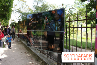 Exposition Planète Grenouille par Cyril Ruoso au Jardin des Plantes