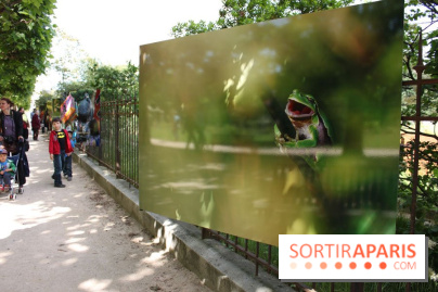 Exposition Planète Grenouille par Cyril Ruoso au Jardin des Plantes