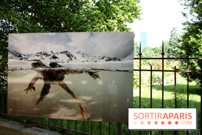 Exposition Planète Grenouille par Cyril Ruoso au Jardin des Plantes