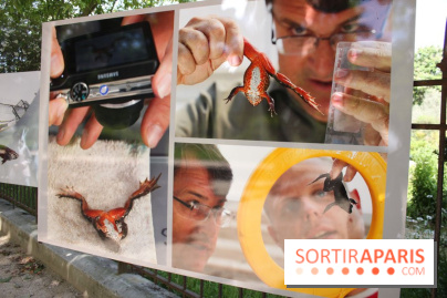 Exposition Planète Grenouille par Cyril Ruoso au Jardin des Plantes