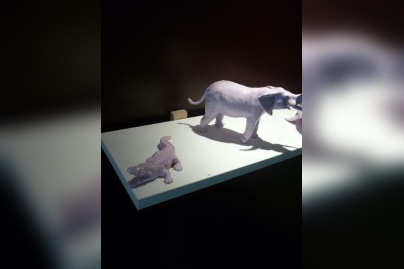 les pékelets, salon de thé familial à paris