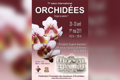 salon international des orchidées 2011