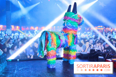 Festival Astropolis 2013