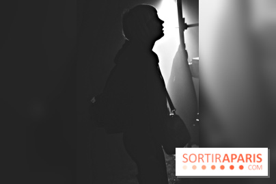 Festival Astropolis 2013