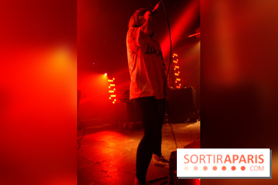 Festival Astropolis 2013