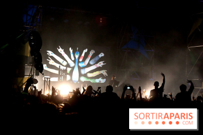 The Peacock Society 2013