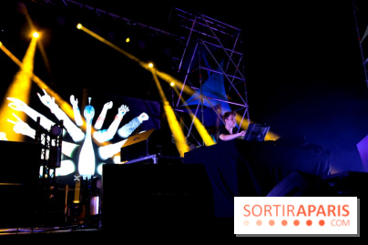 The Peacock Society 2013