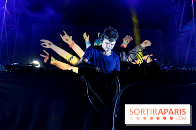 The Peacock Society 2013