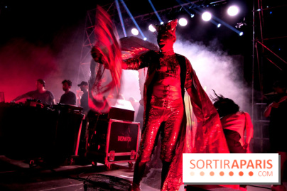 The Peacock Society 2013