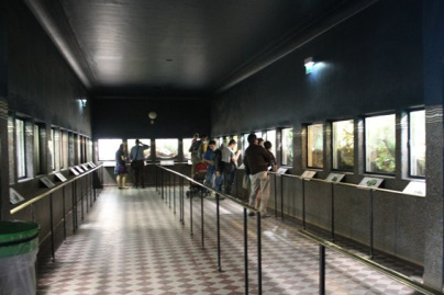 la ménagerie du jardin des plantes