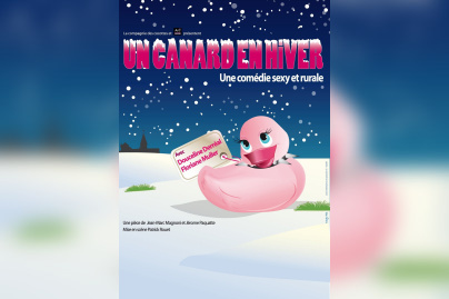 canard en hiver