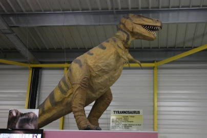 ty bamboo, ty'bamboo, parc d'attraction, dammarie les lys