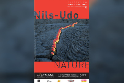 Nils-Udo, Musée de la Poste