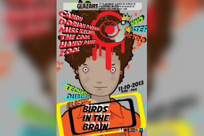 Birds in the brain