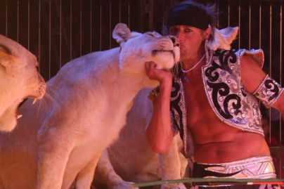 Cirque Pinder 160 ans