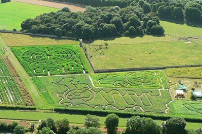 labyrinthes de gally, labyrinthe de gally
