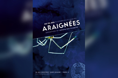 Araignées, Jardin des Plantes, Muséum national d'Histoire Naturelle, 