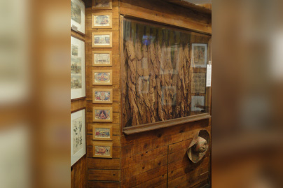 Musée du Fumeur, Visite insolite, Feuilles de tabac