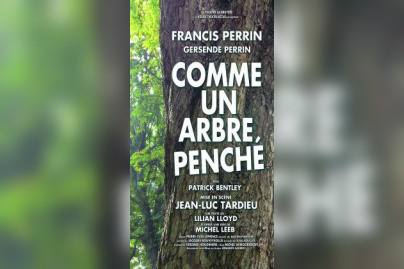 comme un arbre penché