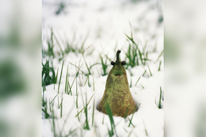 exposition Les Fruits de mon Imagination à Bercy Village