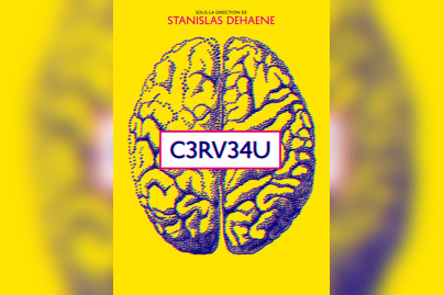 Cerveau, exposition Cité des Sciences