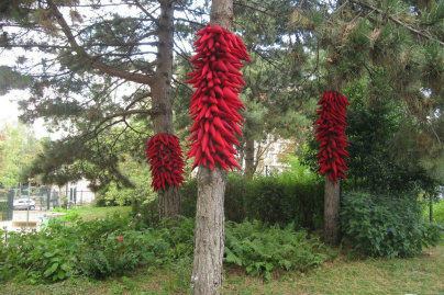 Génie des Jardins 2014