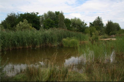 mares de Montreuil