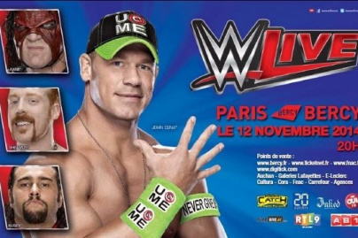 WWE  Bercy 2014