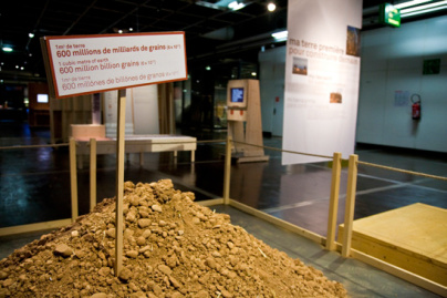 Grains de génie au Palais de la Décoverte