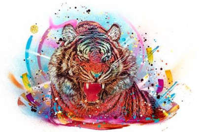 artwork FAR CRY 4, C215