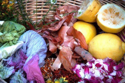  atelier de teinture végétale